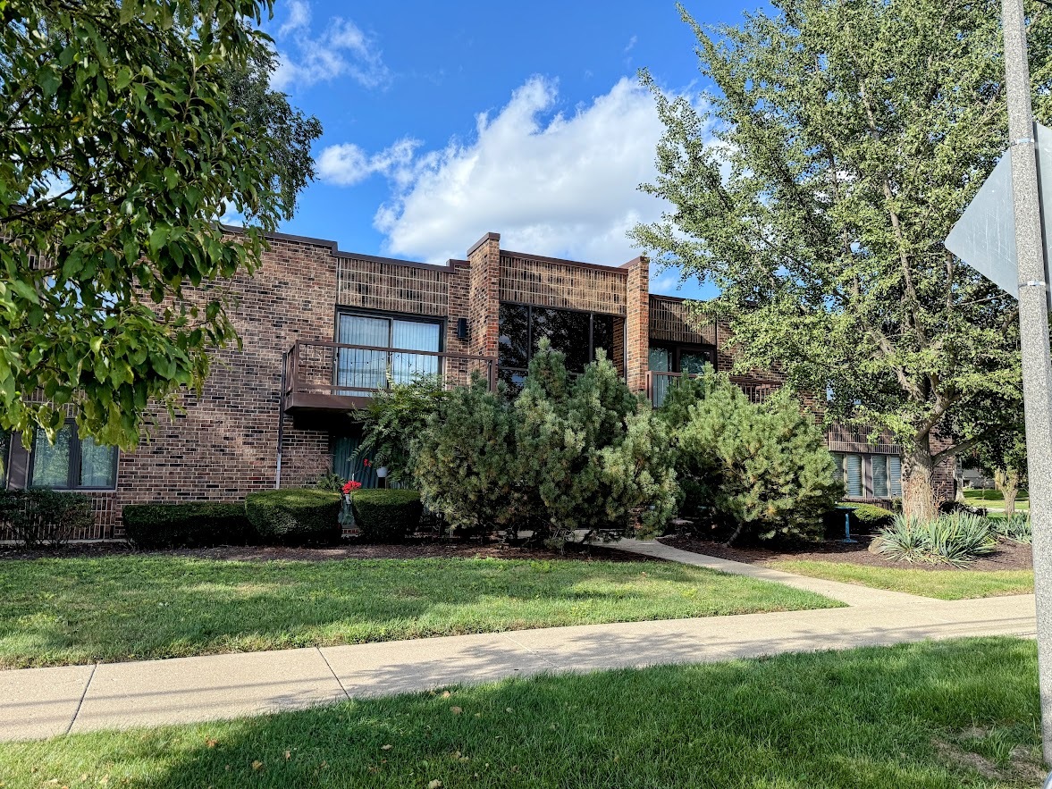 271 W First Street #1B, Elmhurst, IL 60126