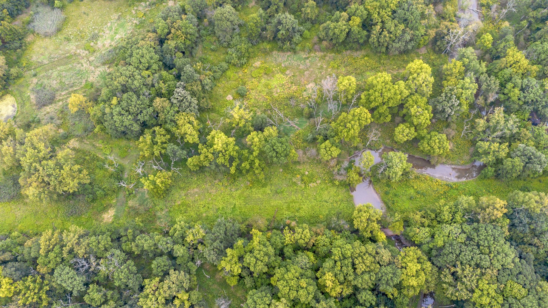 2220 Anne Lane, Crete, IL 60417