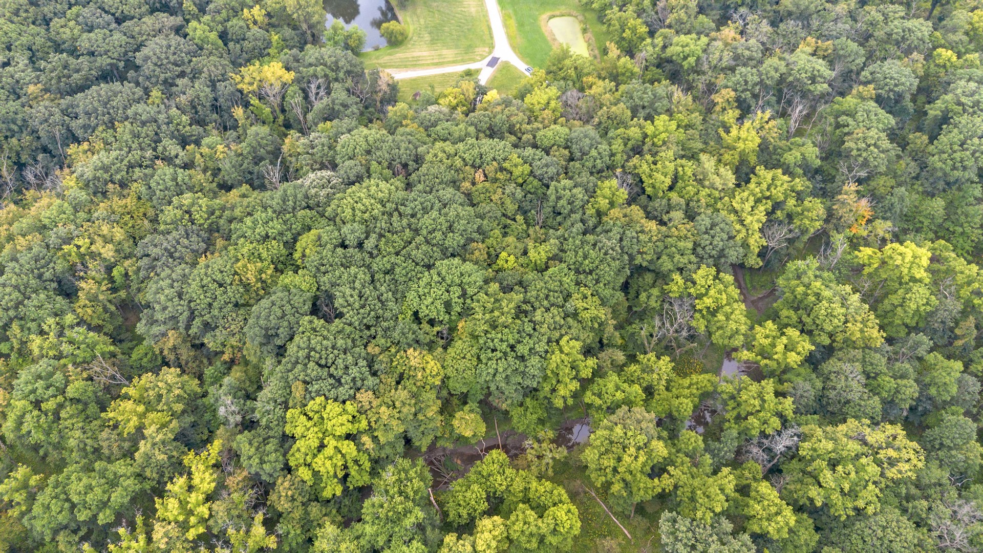 2220 Anne Lane, Crete, IL 60417
