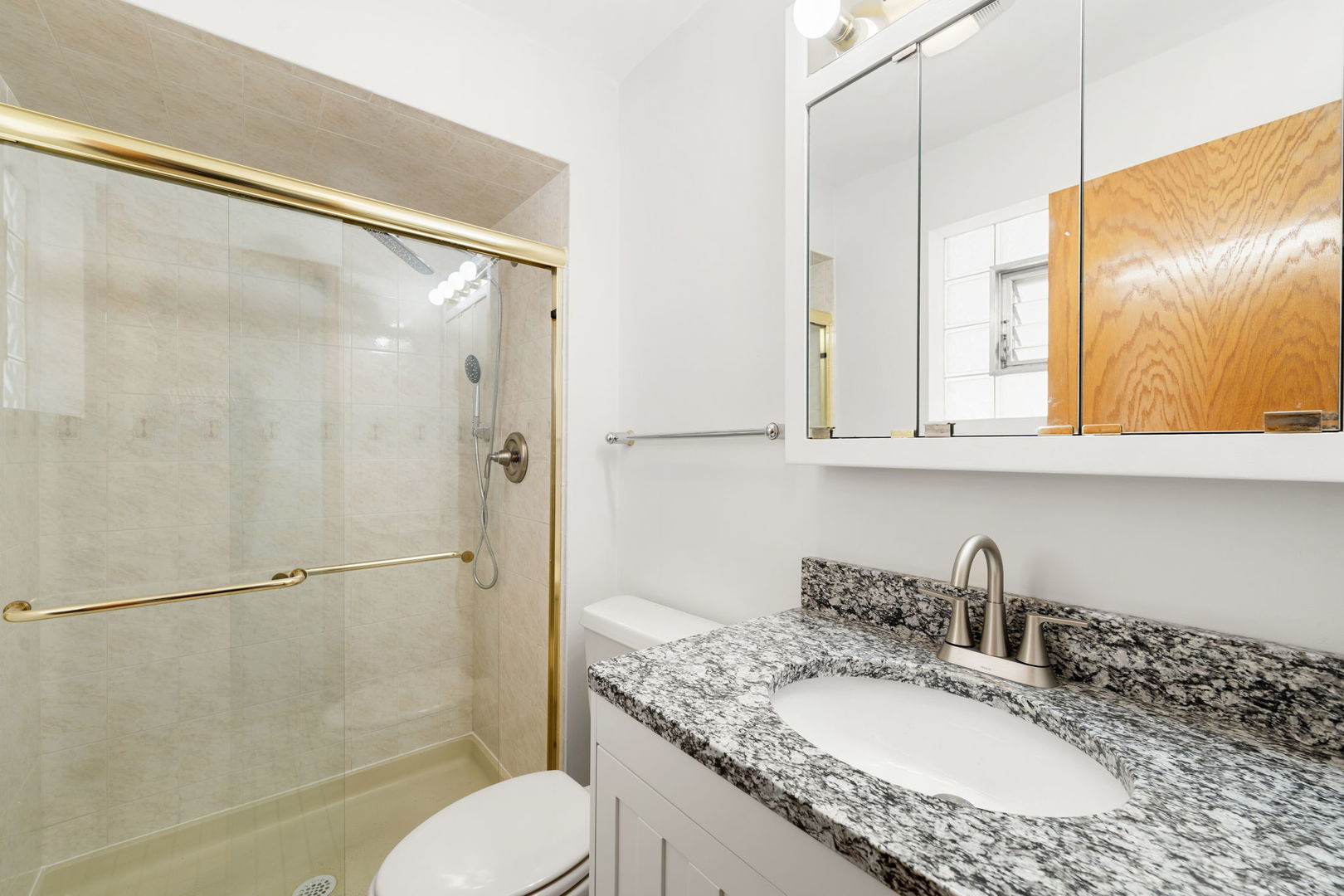 5400 W Dakin Street #1, Chicago, IL 60641