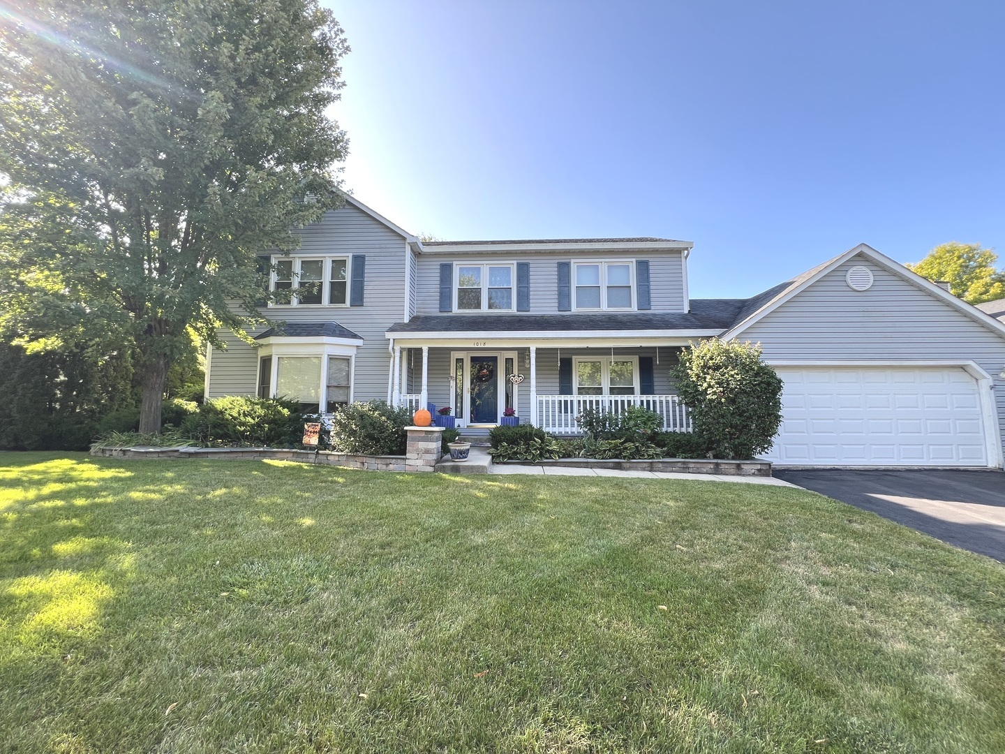 1018 Rain Tree Drive, Bolingbrook, IL 60440