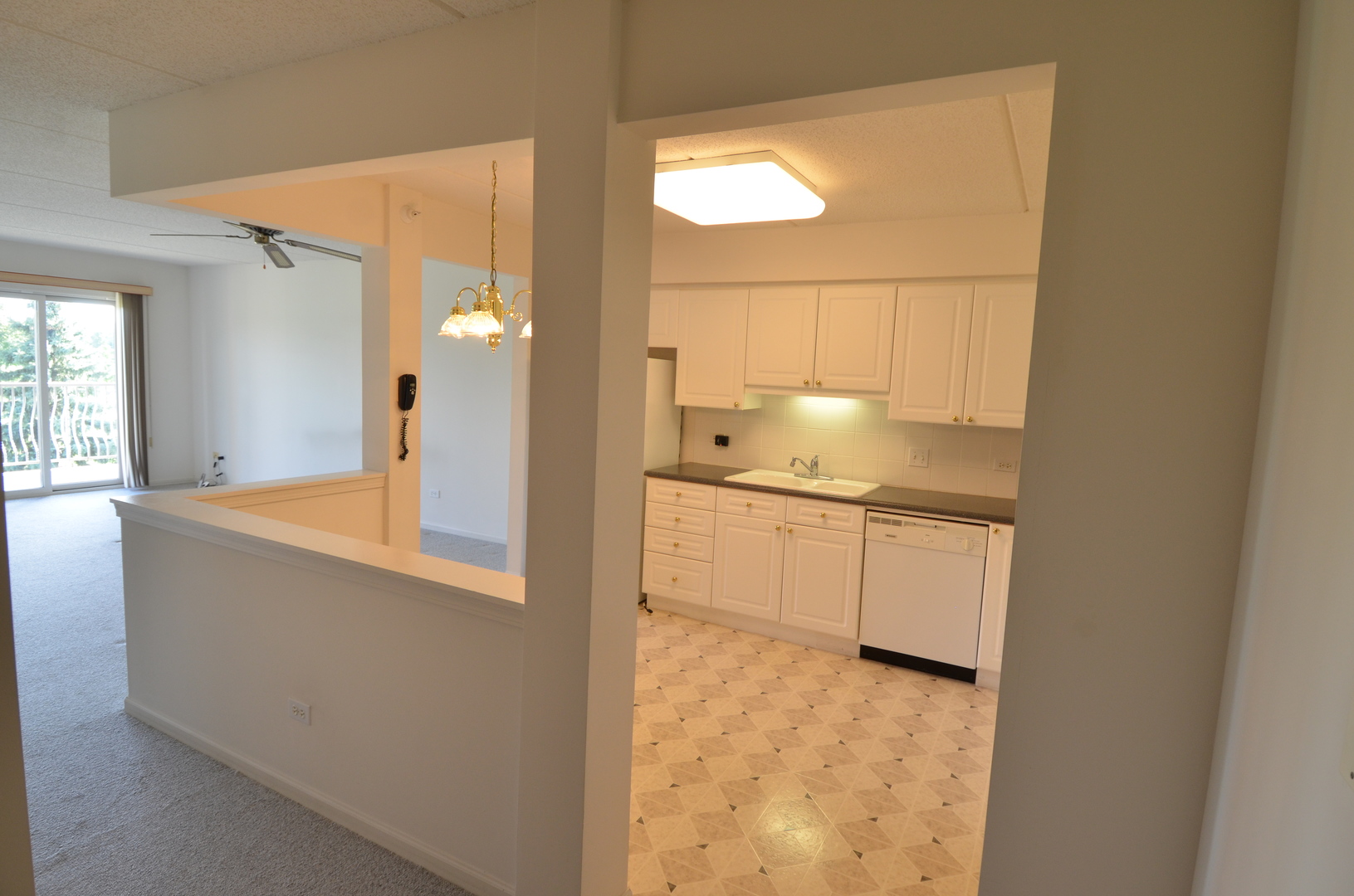 7061 W Touhy Avenue #307, Niles, IL 60714