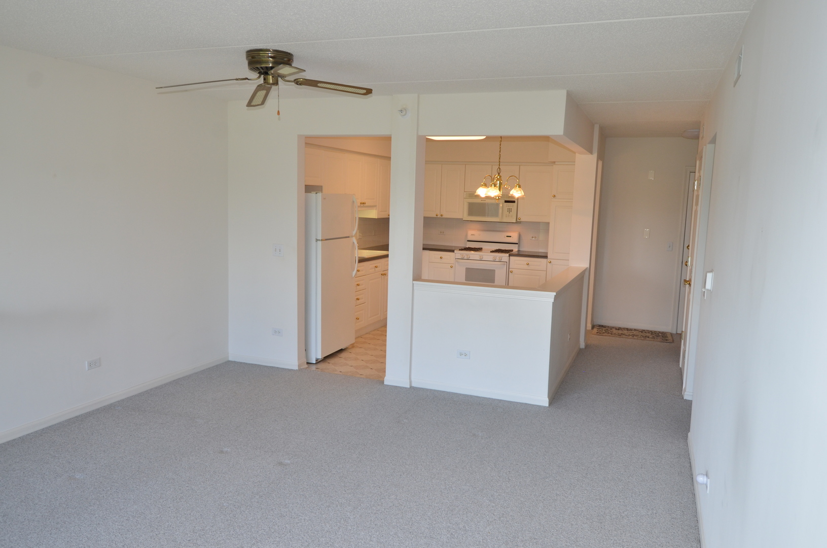 7061 W Touhy Avenue #307, Niles, IL 60714