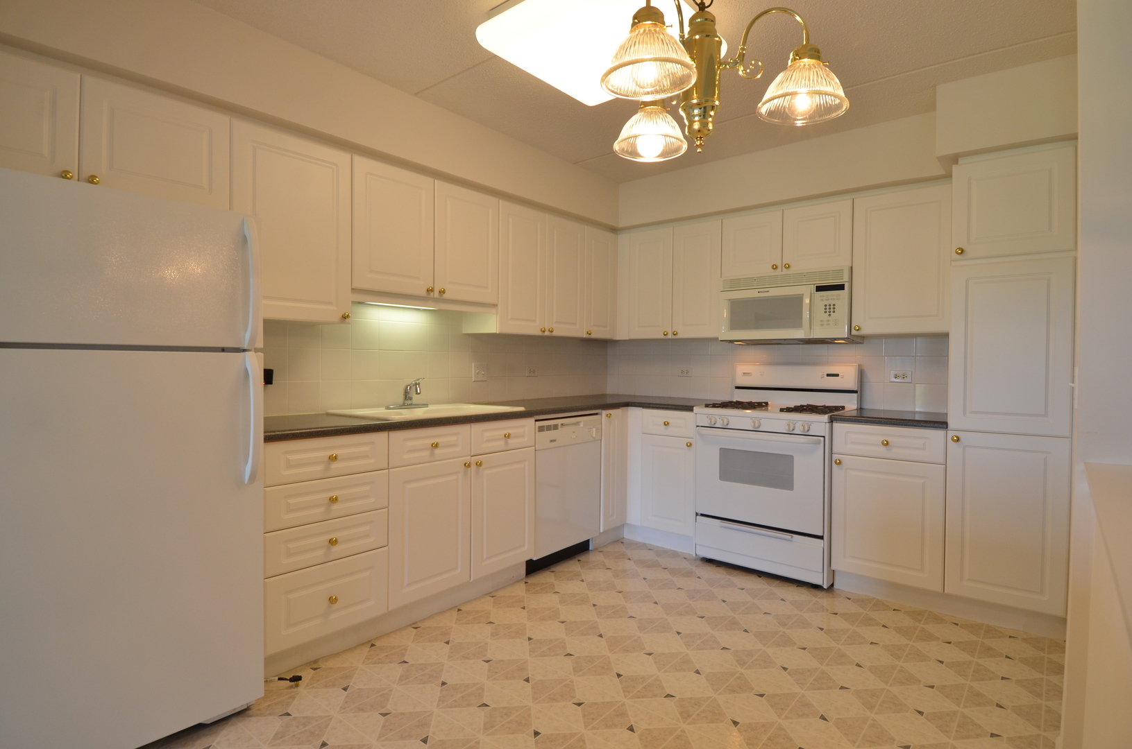 7061 W Touhy Avenue #307, Niles, IL 60714
