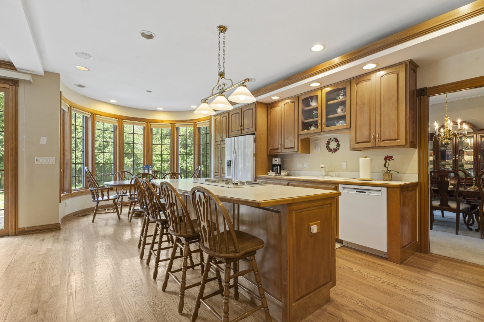 213 Pine Tree Lane, La Grange Park, IL 60526