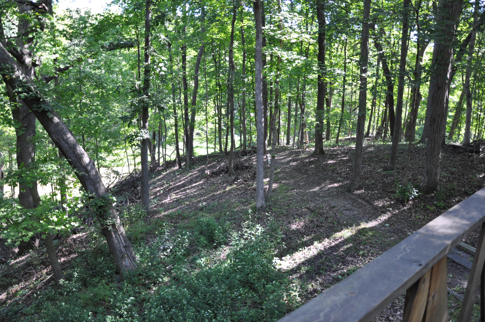 1693 Strawberry Drive, Varna, IL 61375