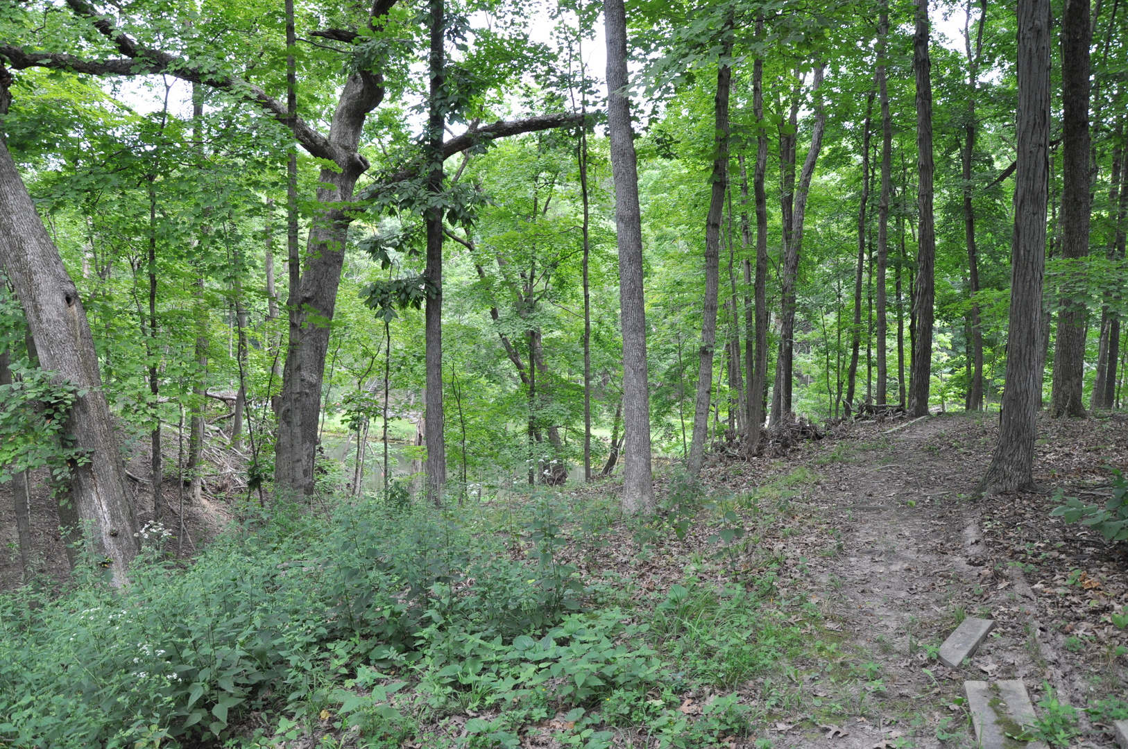 1693 Strawberry Drive, Varna, IL 61375