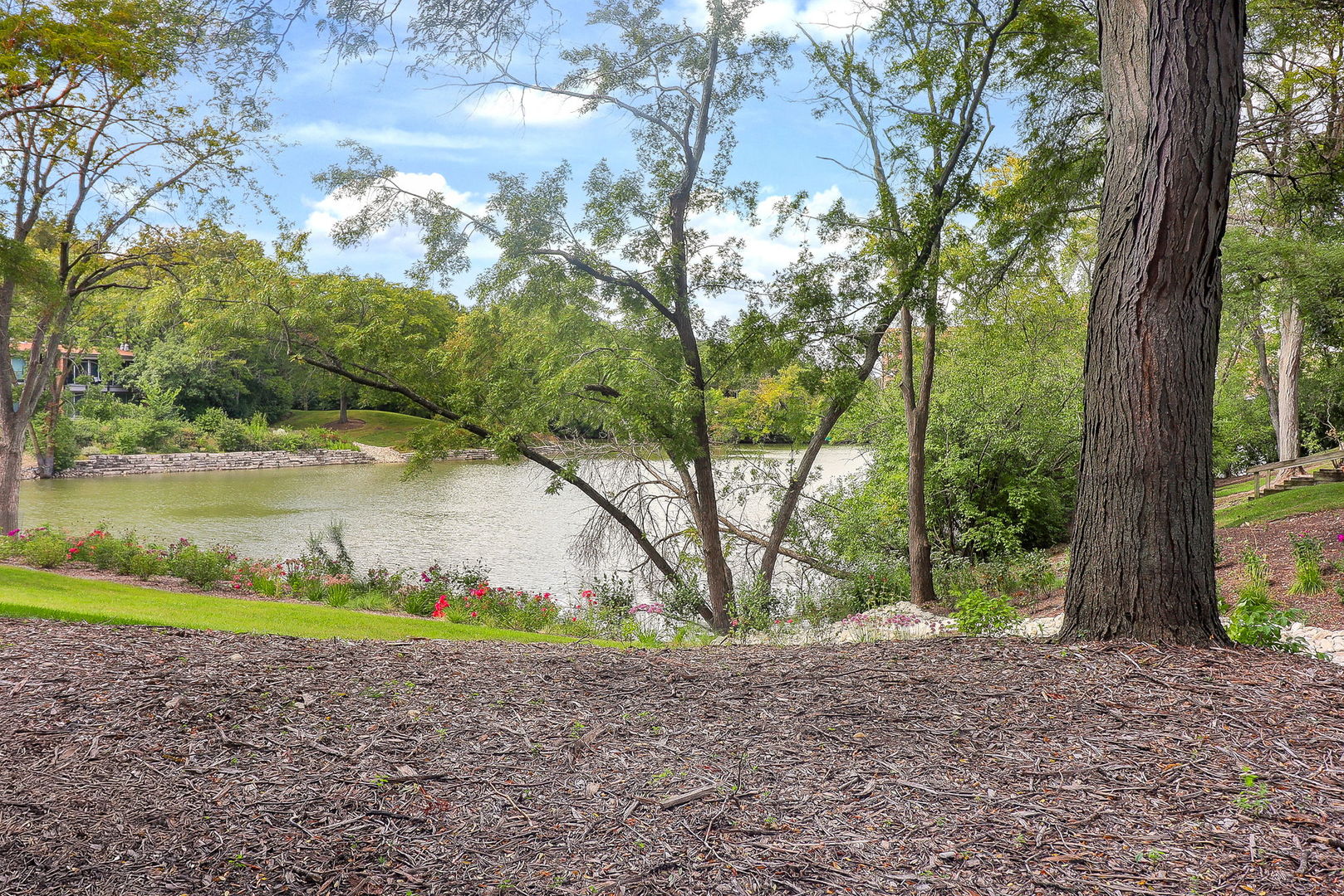 6010 E Lake Drive #1D, Lisle, IL 60532