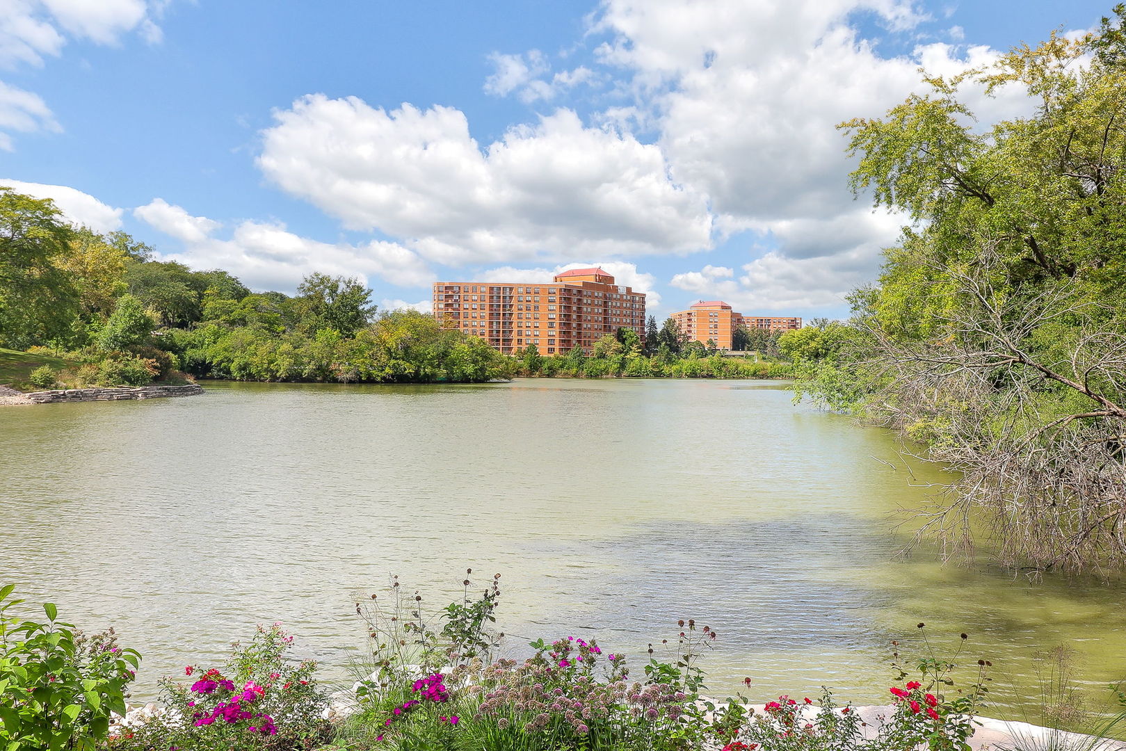 6010 E Lake Drive #1D, Lisle, IL 60532