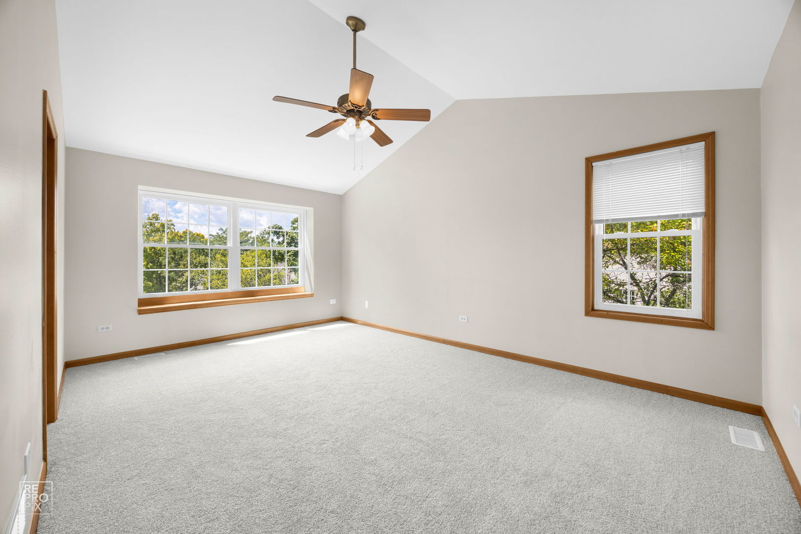 1080 Birchbark Trail, Carol Stream, IL 60188