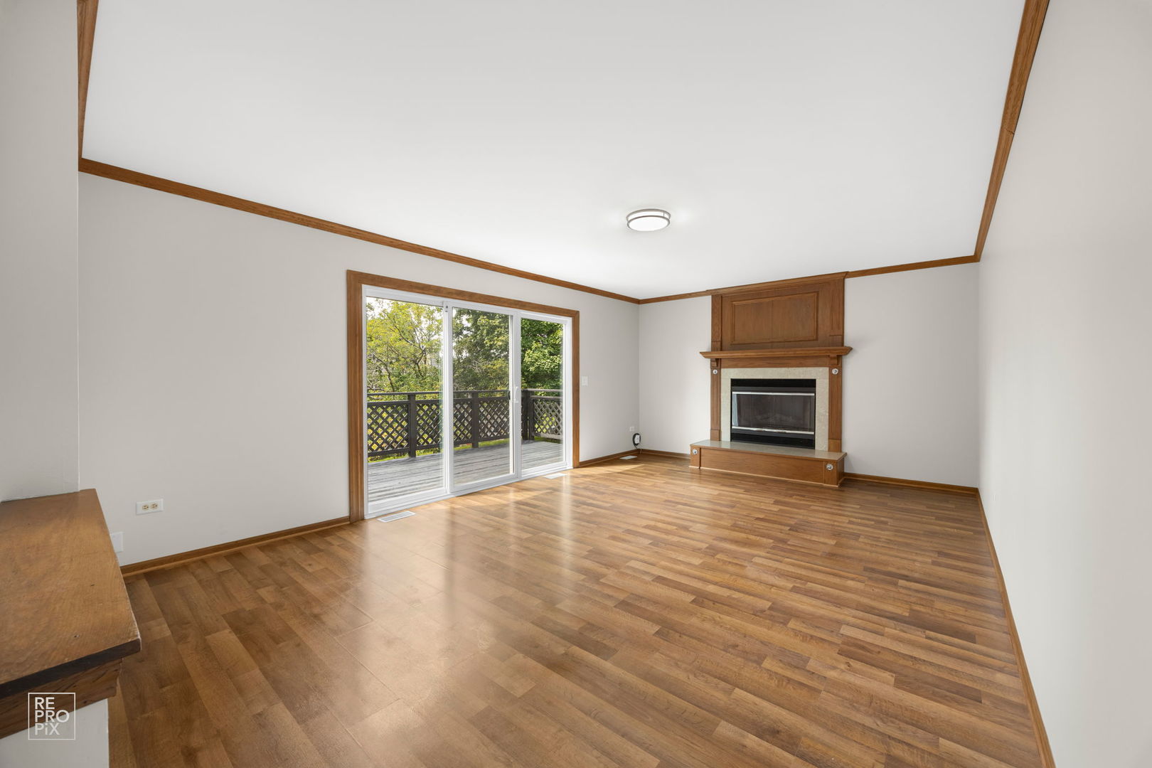 1080 Birchbark Trail, Carol Stream, IL 60188