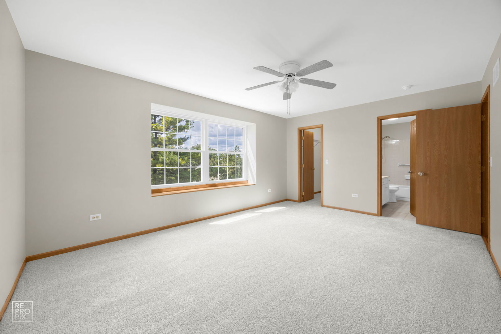 1080 Birchbark Trail, Carol Stream, IL 60188