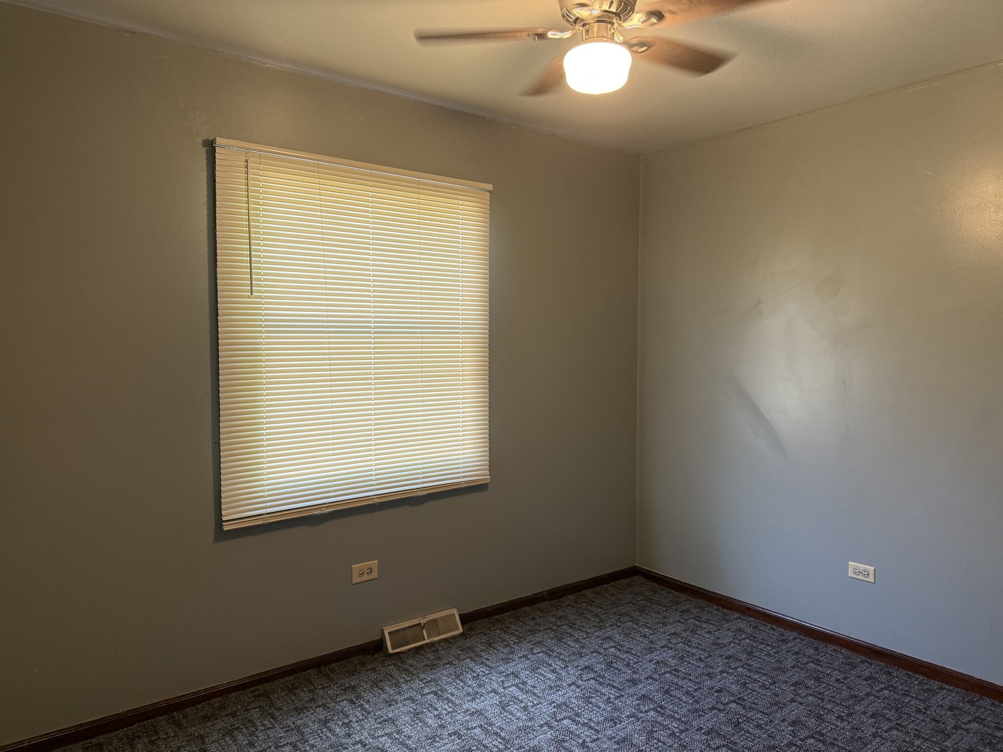 808 E 194th Street, Glenwood, IL 60425