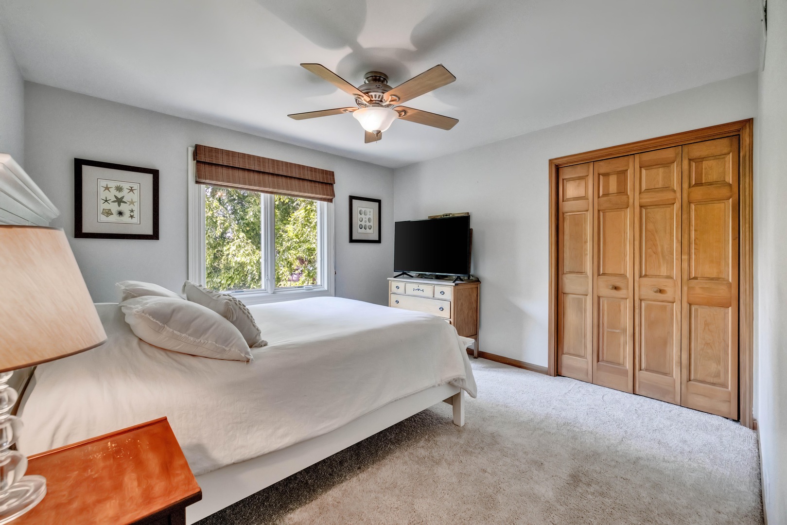 1435 Monarch Circle, Naperville, IL 60564
