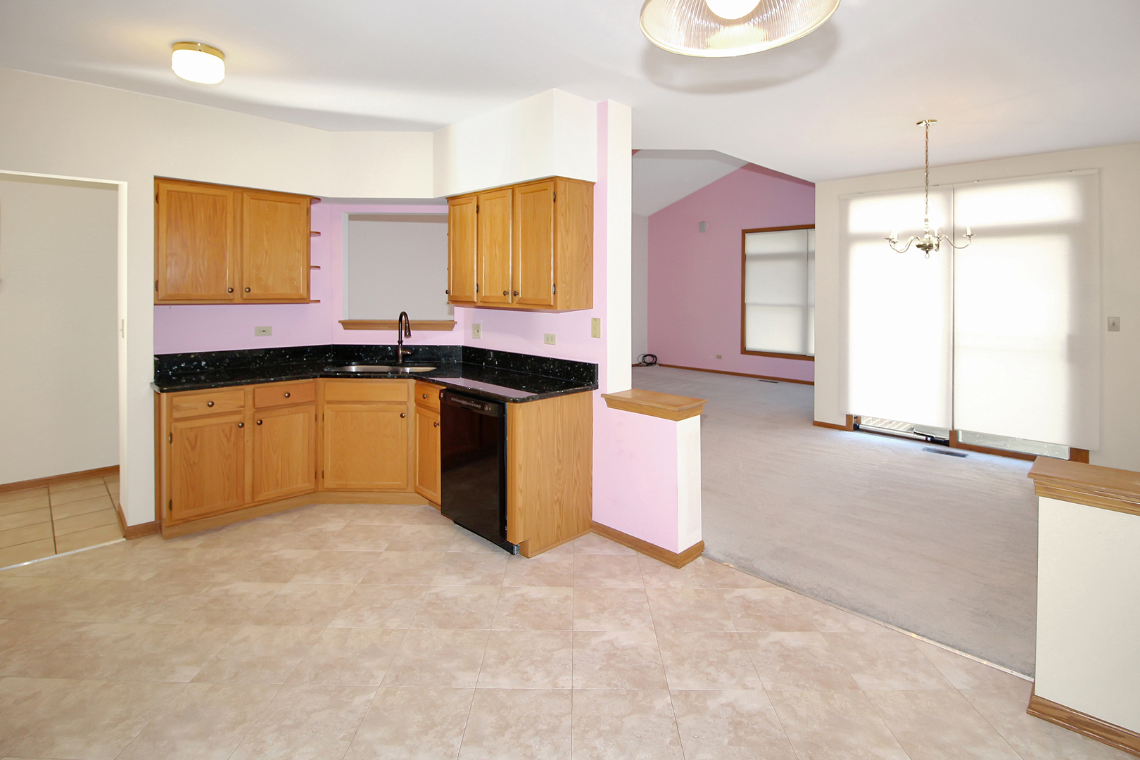 11028 Jodan Drive, Oak Lawn, IL 60453