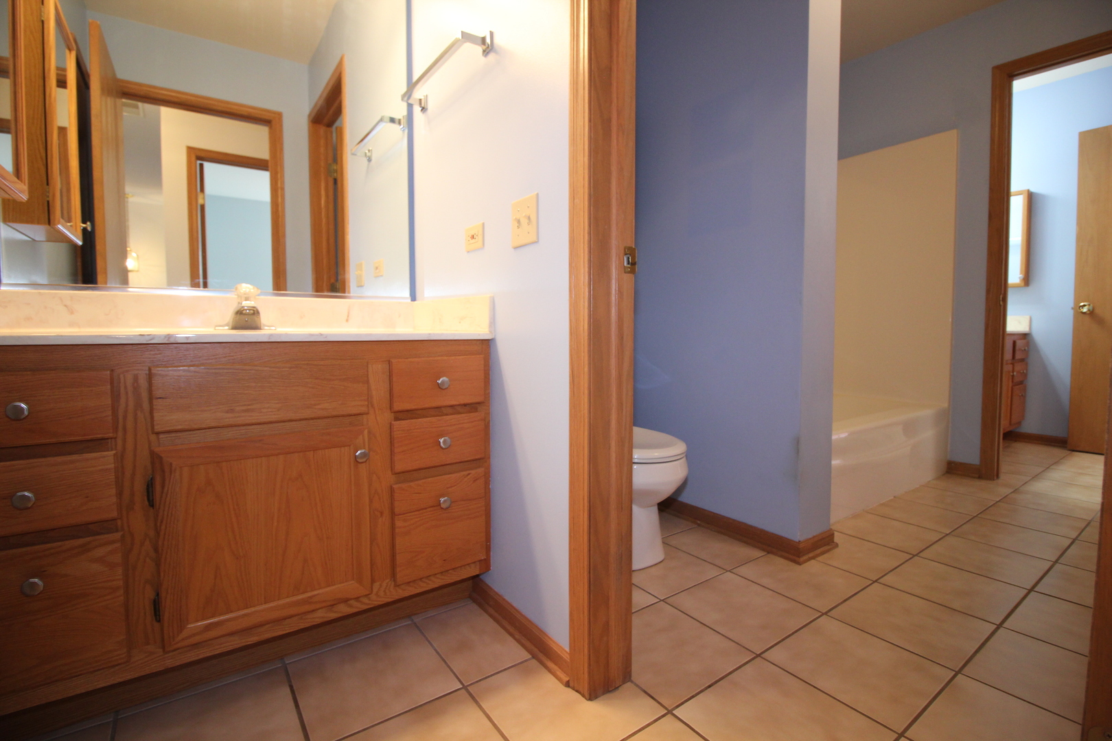 11028 Jodan Drive, Oak Lawn, IL 60453