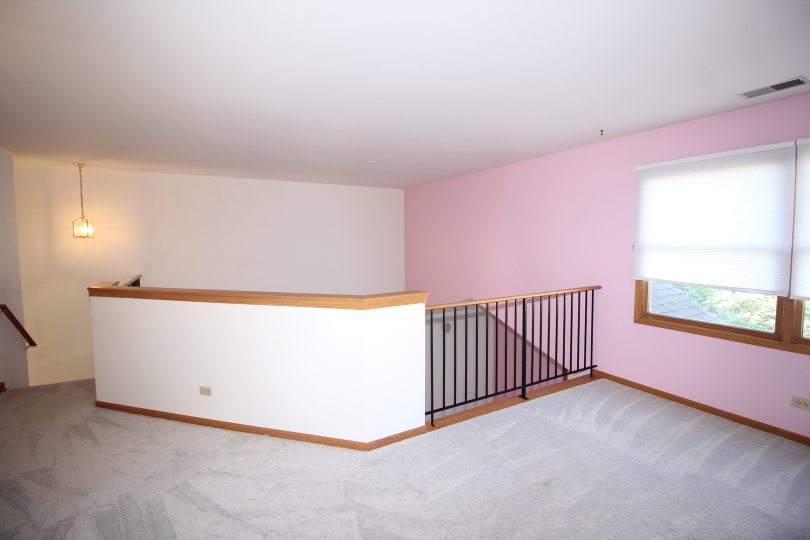 11028 Jodan Drive, Oak Lawn, IL 60453