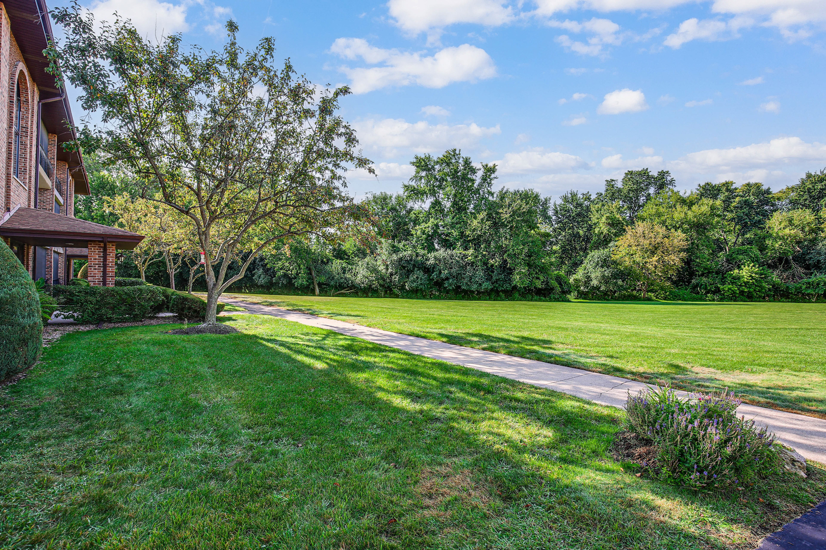 11117 S Heritage Drive #1D, Palos Hills, IL 60465