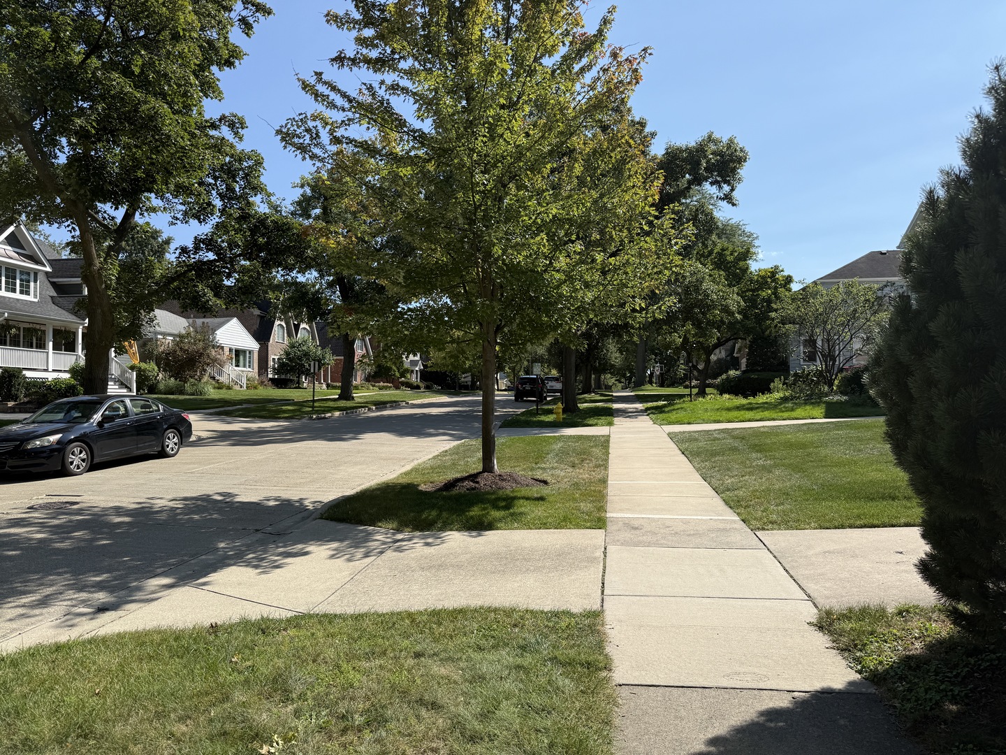 4444 Franklin Avenue, Western Springs, IL 60558