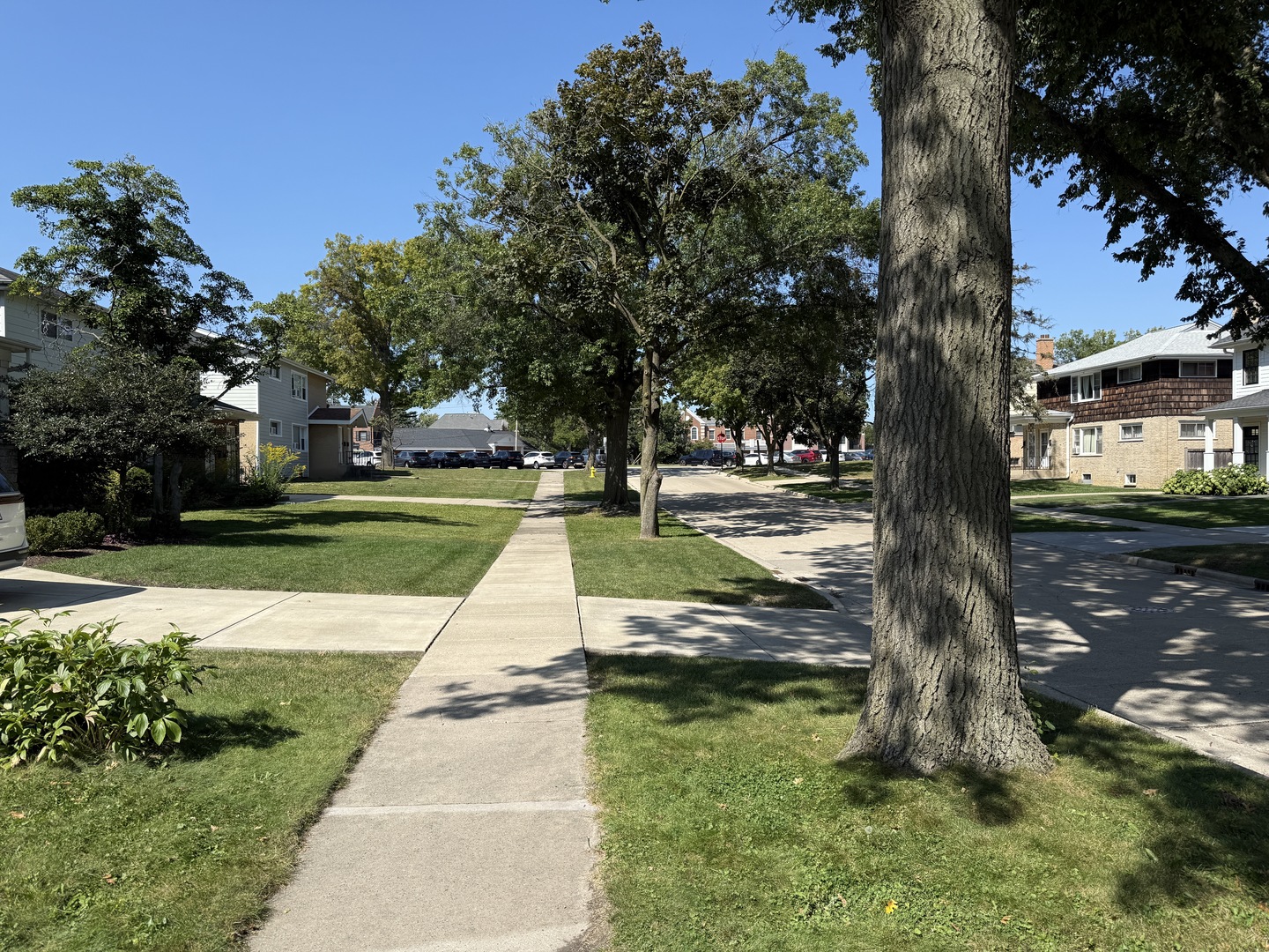 4444 Franklin Avenue, Western Springs, IL 60558