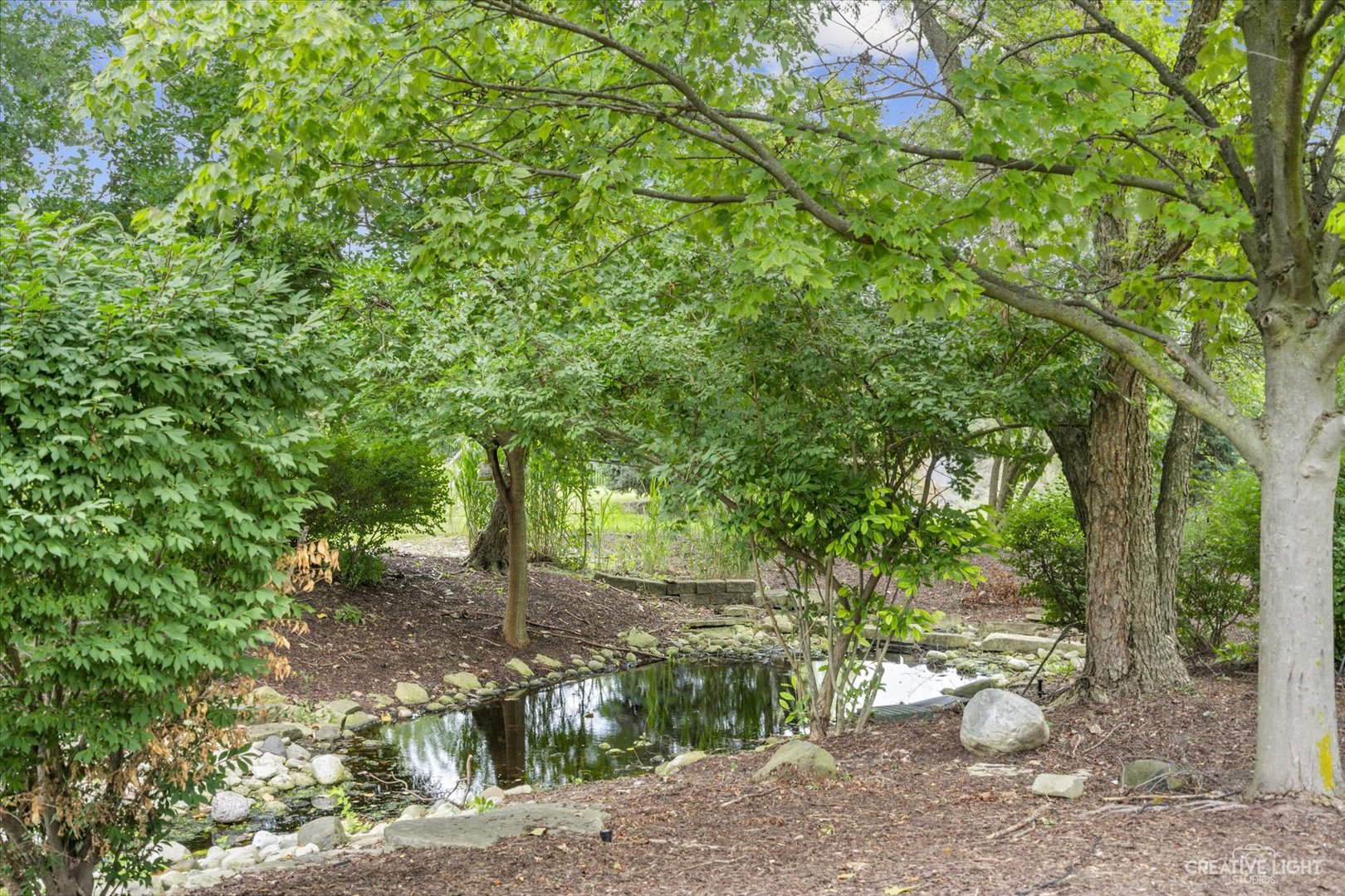 51 Chippewa Drive, Oswego, IL 60543