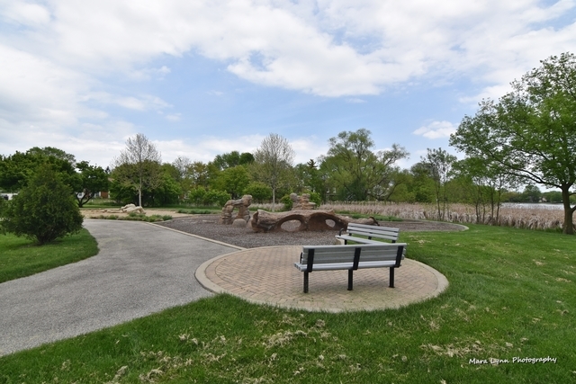 2233 Flower Court #2233, Schaumburg, IL 60194