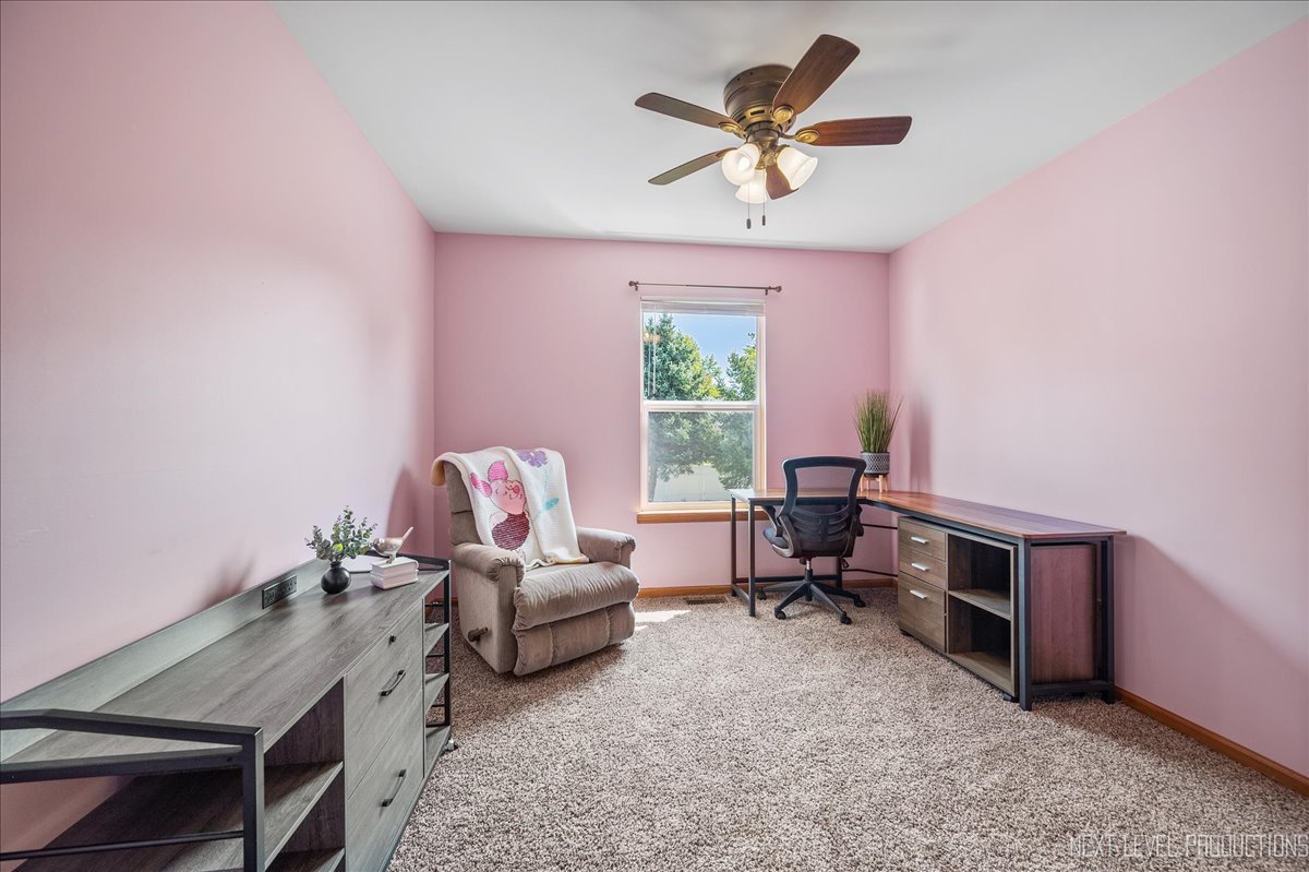 16453 Timberview Drive, Plainfield, IL 60586