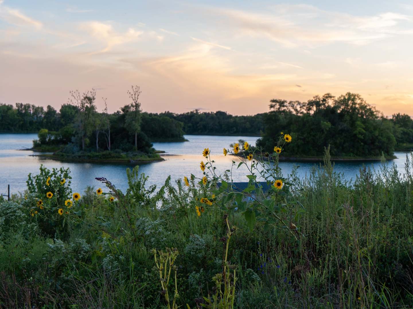 765 Pointe Drive #0, Crystal Lake, IL 60014