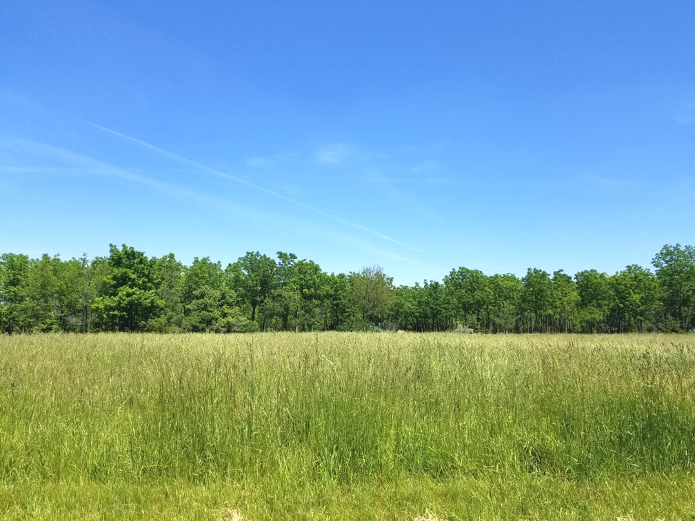 Lot 78 Lake Wildwood Drive, Varna, IL 61375