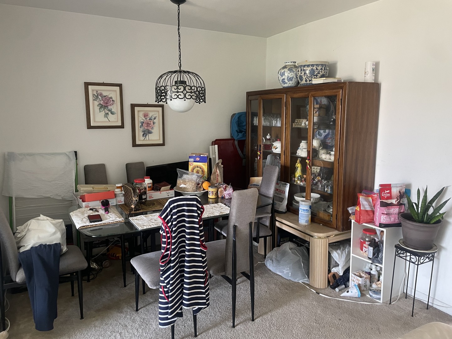 9460 Bay Colony Drive #3N, Des Plaines, IL 60016