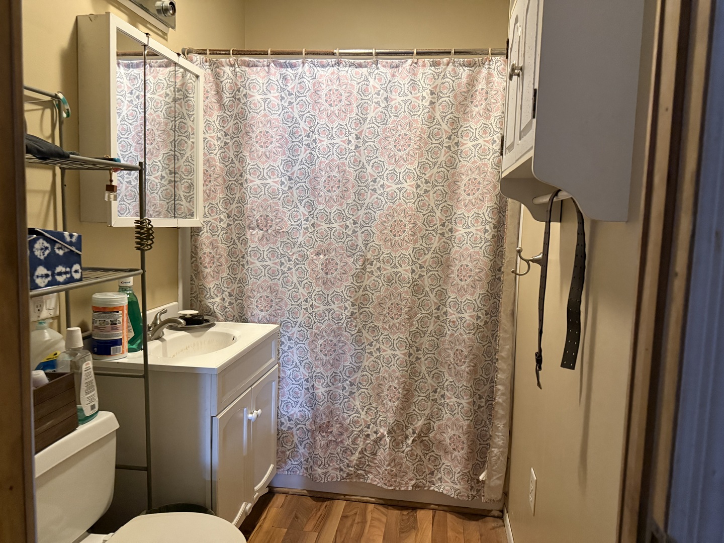 102 Chestnut Street, Varna, IL 61375