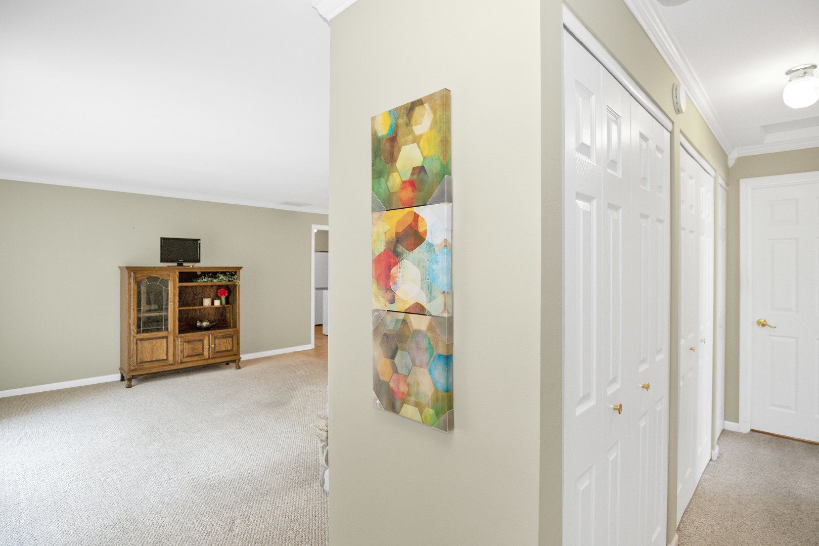 123 Fairlane Court #C, Bloomingdale, IL 60108