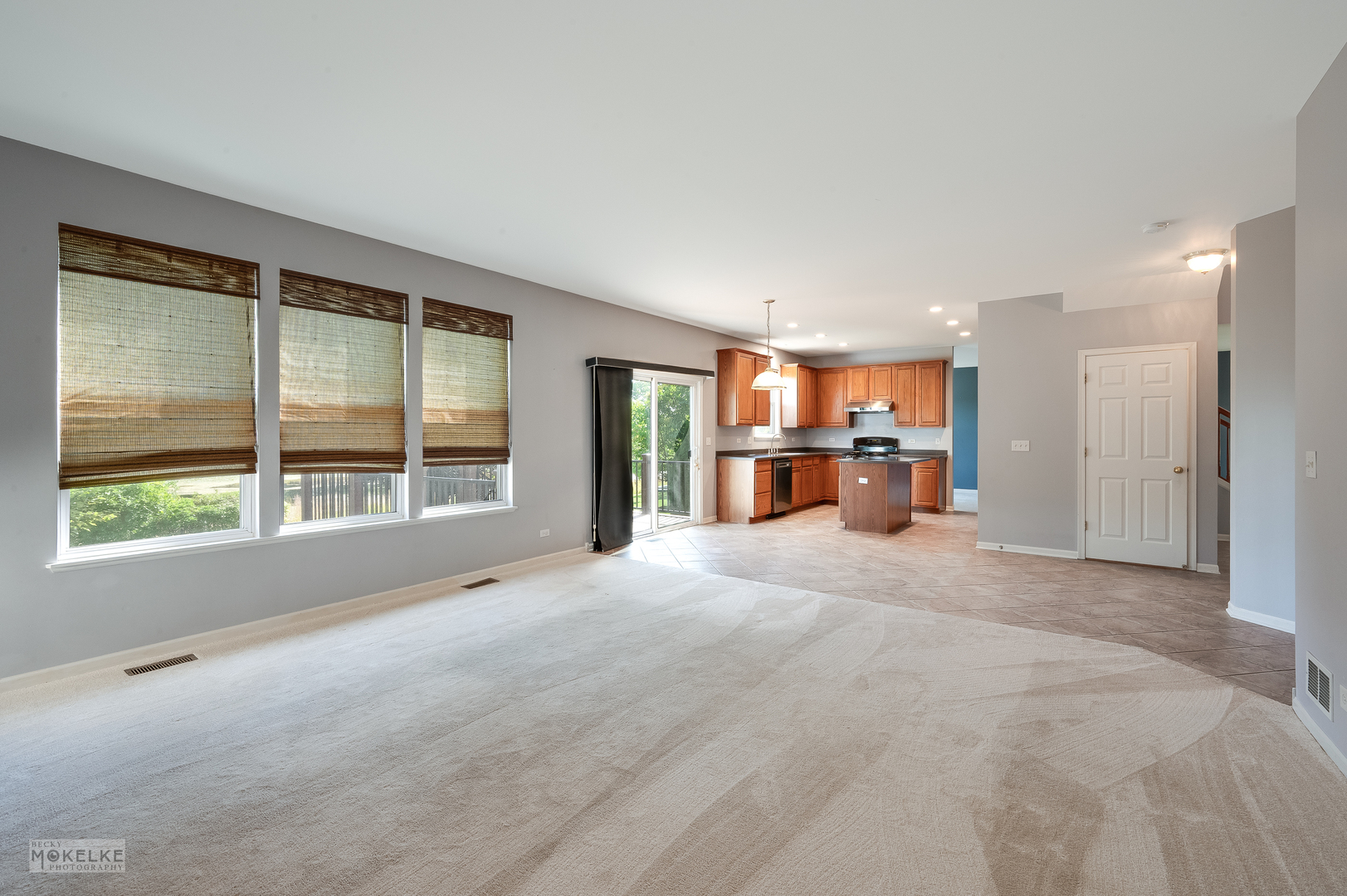 2524 Prairie Crossing Drive, Montgomery, IL 60538