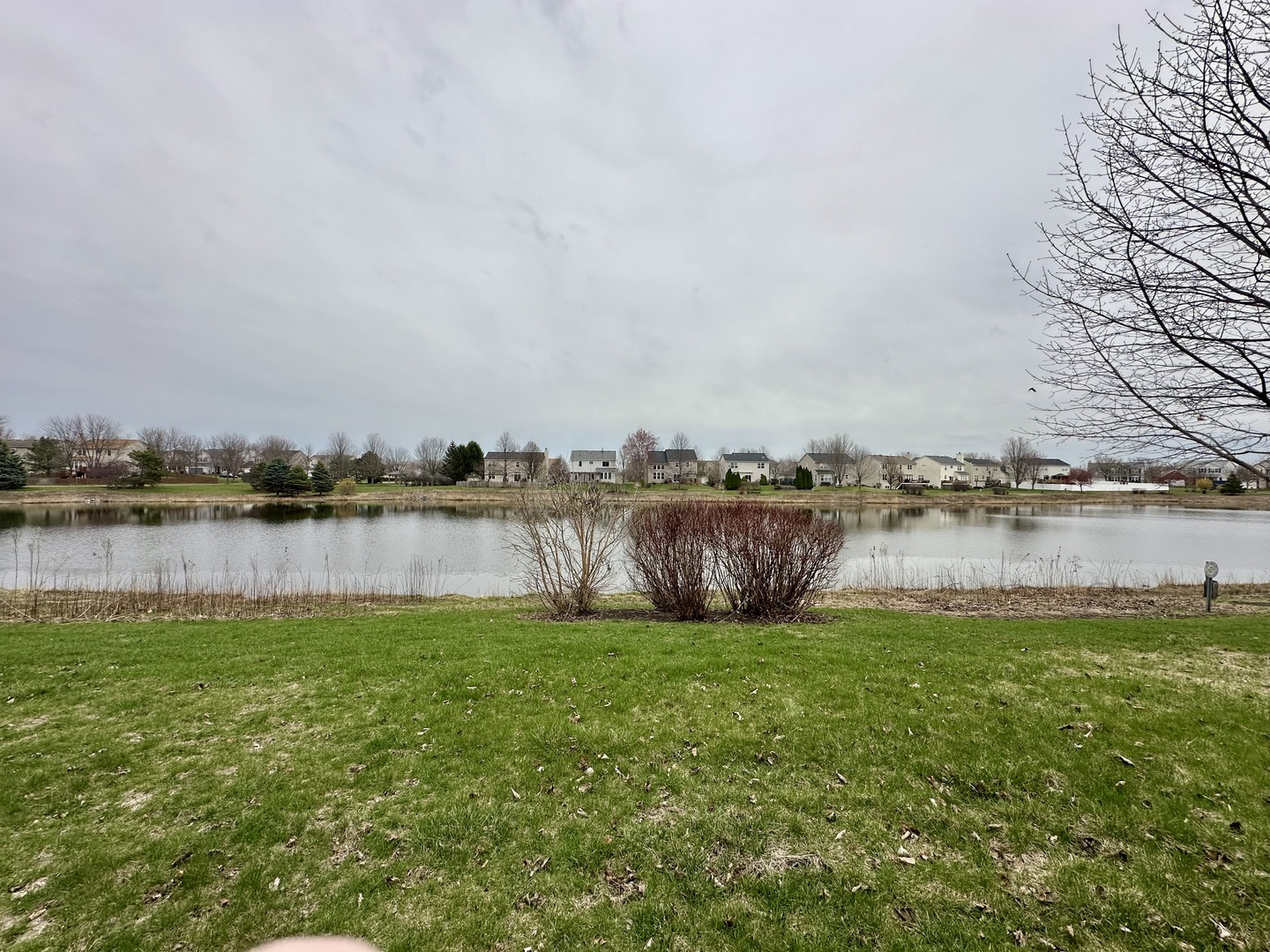 2524 Prairie Crossing Drive, Montgomery, IL 60538