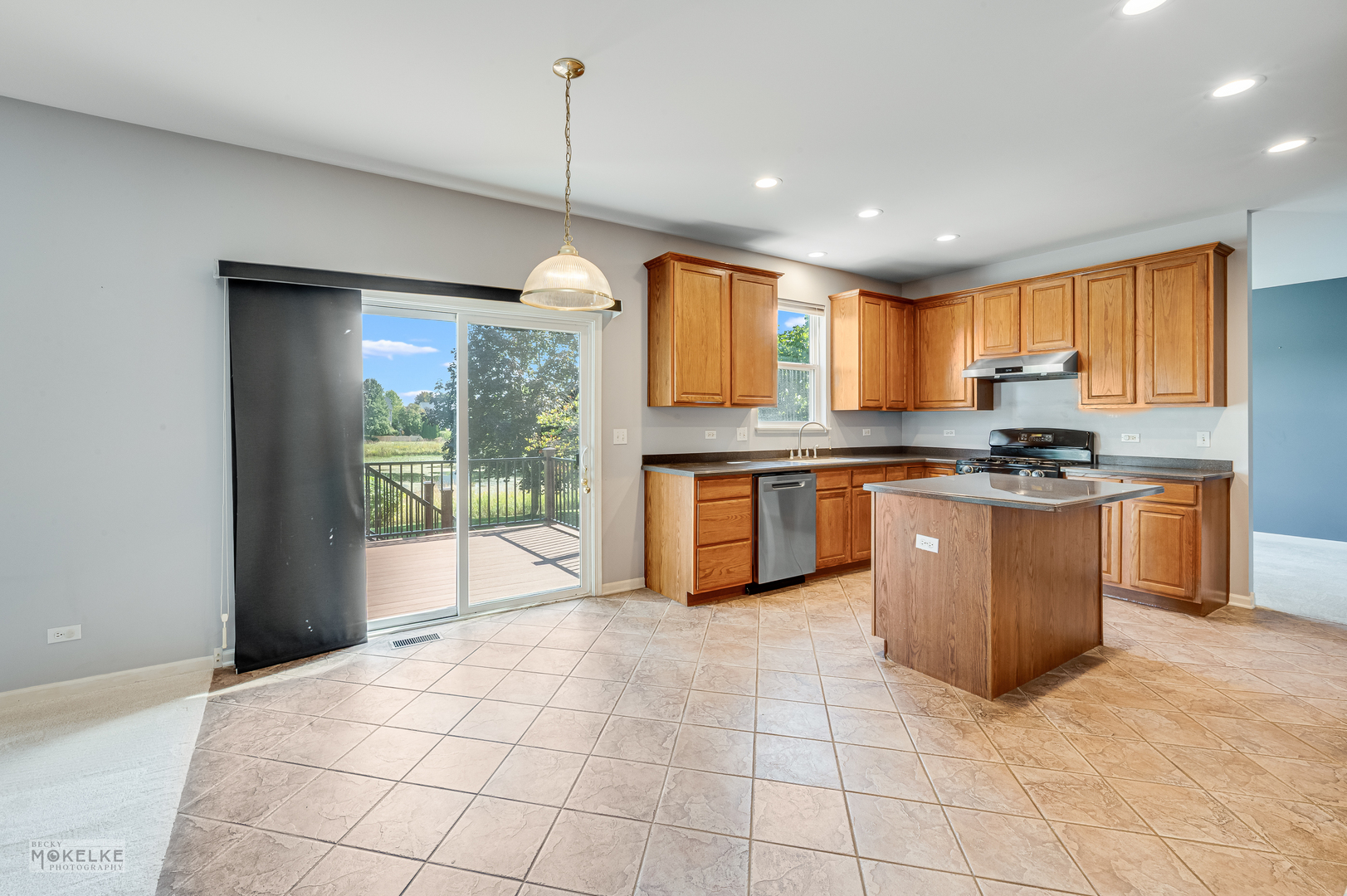 2524 Prairie Crossing Drive, Montgomery, IL 60538