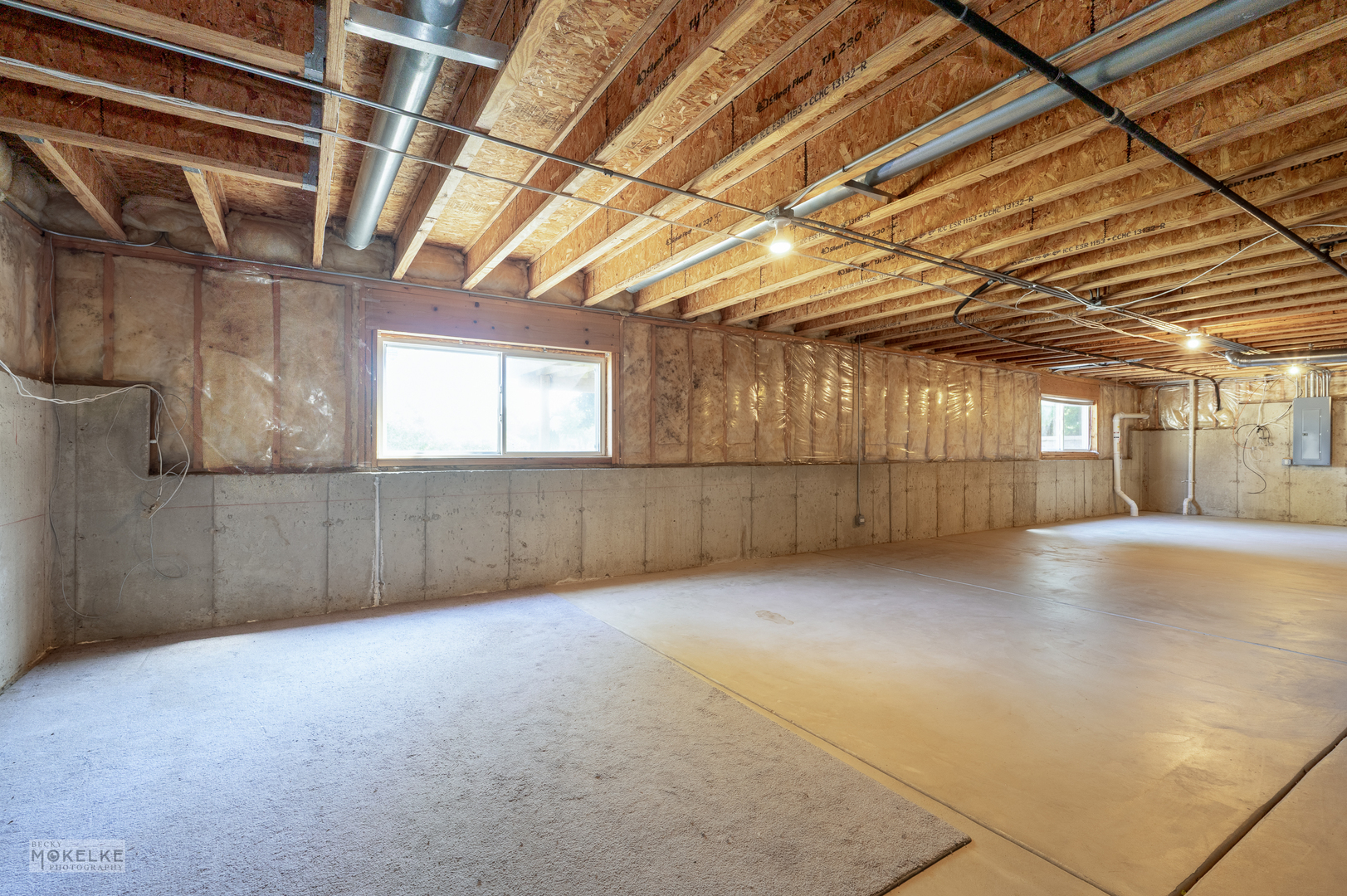 2524 Prairie Crossing Drive, Montgomery, IL 60538