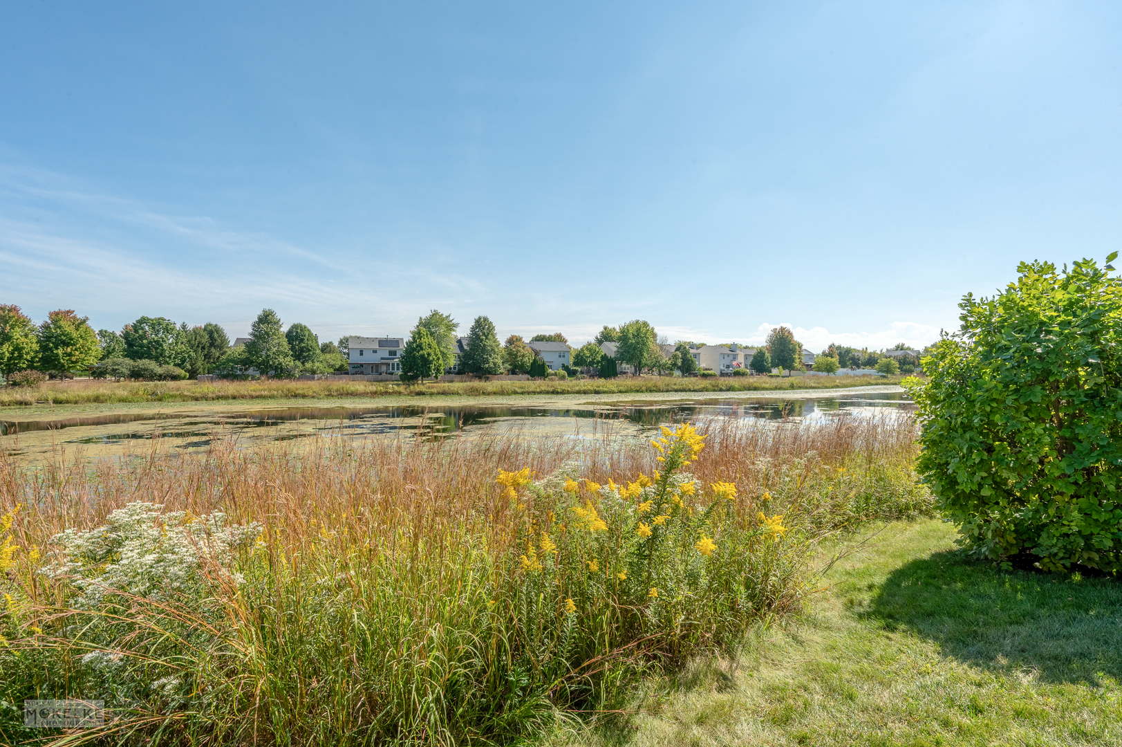 2524 Prairie Crossing Drive, Montgomery, IL 60538