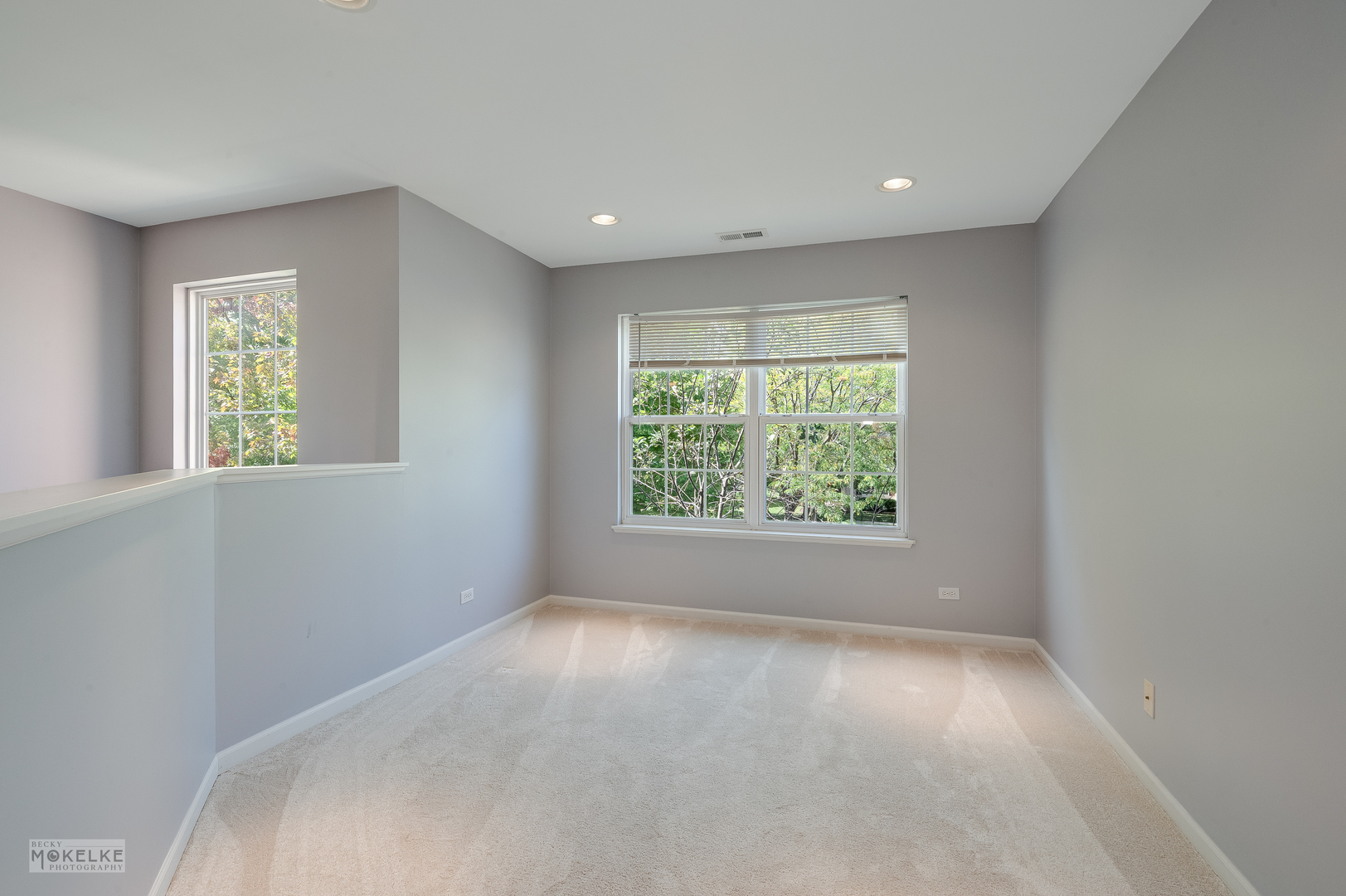 2524 Prairie Crossing Drive, Montgomery, IL 60538