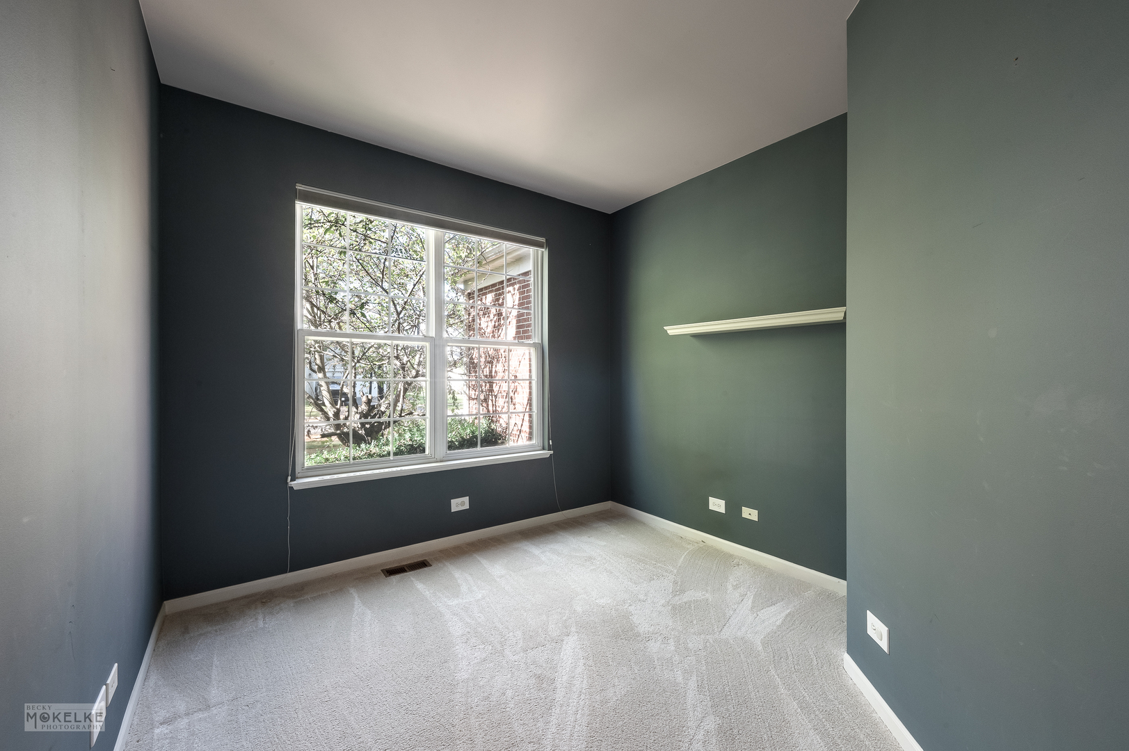 2524 Prairie Crossing Drive, Montgomery, IL 60538