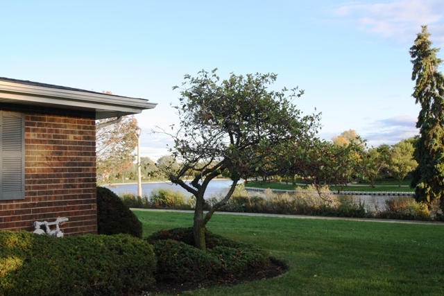 931 Shattuck Lane #931, Schaumburg, IL 60194