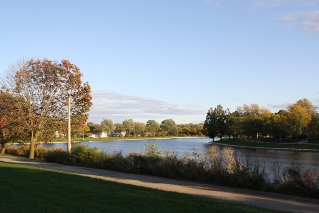931 Shattuck Lane #931, Schaumburg, IL 60194