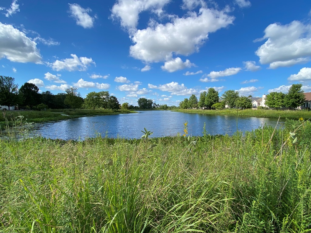 2175 Oleander Court, Aurora, IL 60502
