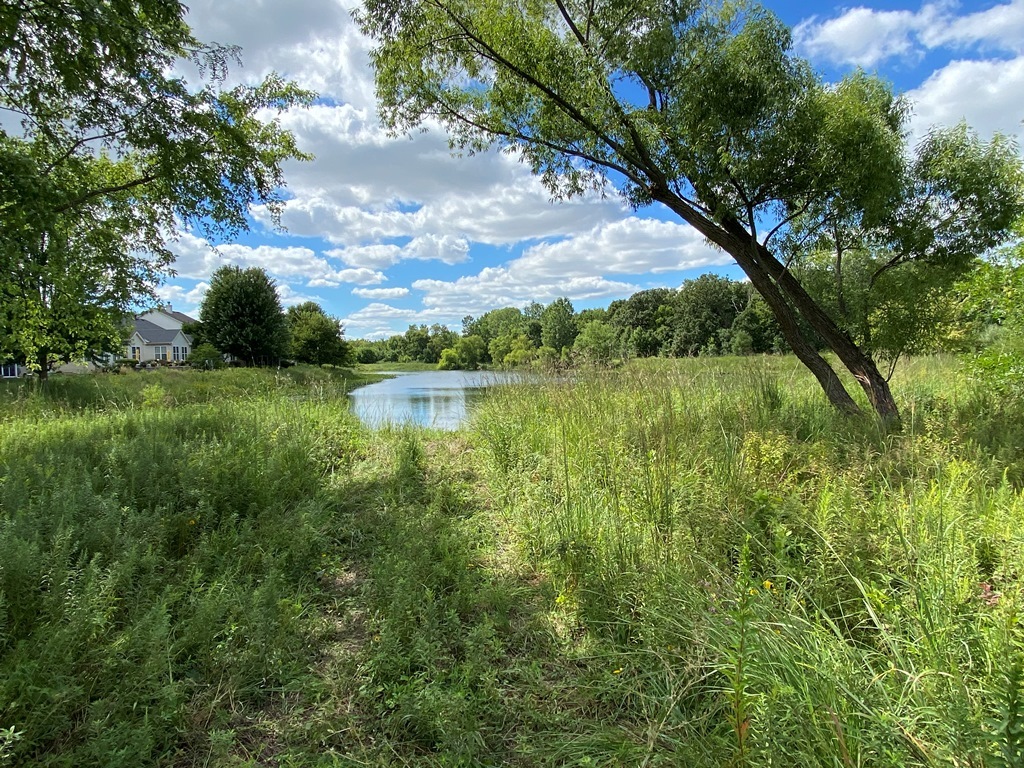 2175 Oleander Court, Aurora, IL 60502
