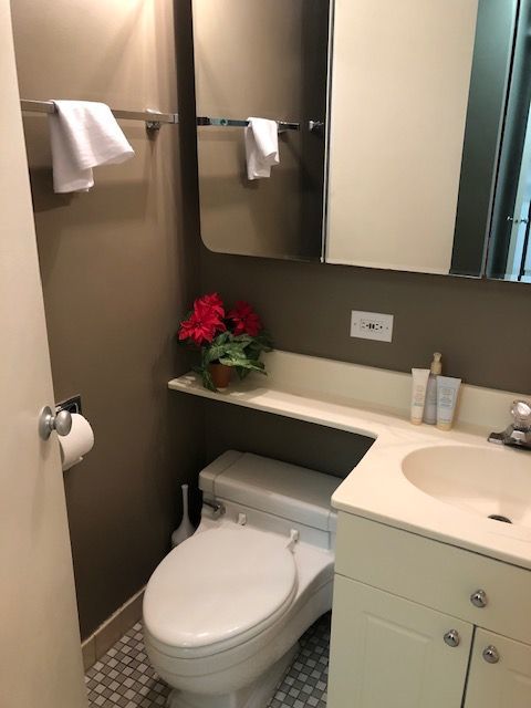 601 E 32nd Street #1008, Chicago, IL 60616