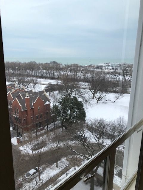 601 E 32nd Street #1008, Chicago, IL 60616
