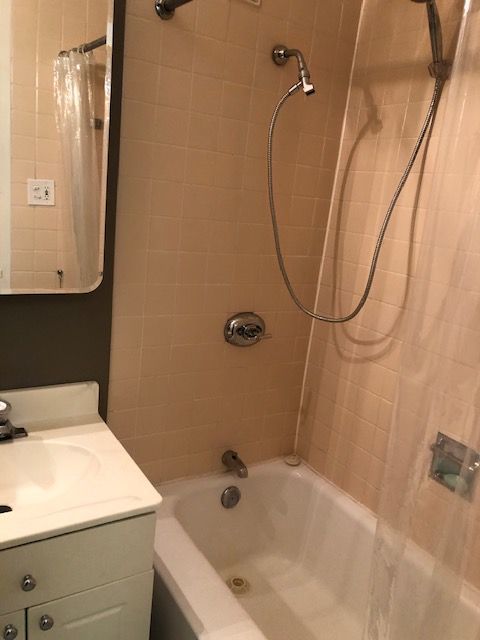 601 E 32nd Street #1008, Chicago, IL 60616