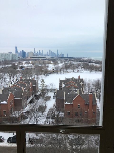 601 E 32nd Street #1008, Chicago, IL 60616