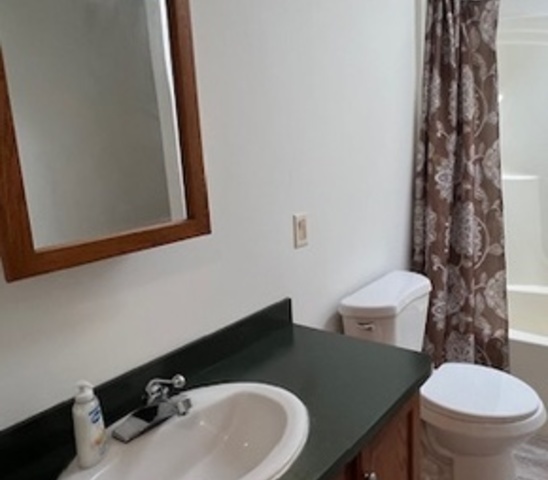 11750 S Homan Avenue #98, Merrionette Park, IL 60803