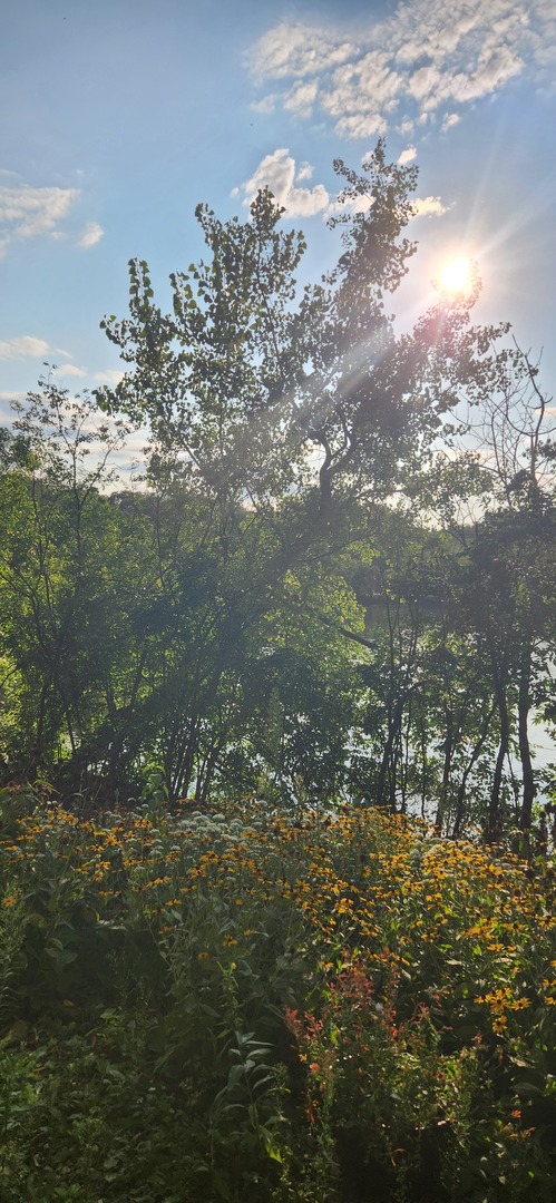 5542 E Lake Drive #E, Lisle, IL 60532