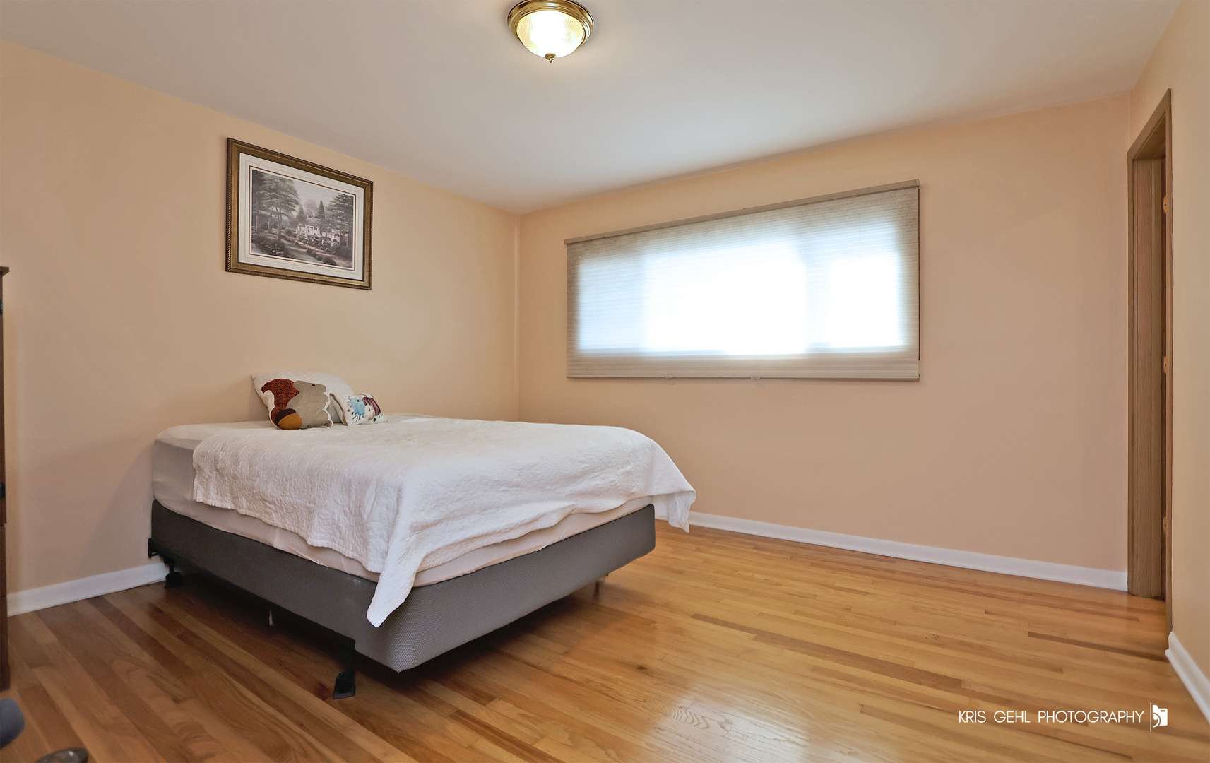 9056 N Clifton Avenue, Niles, IL 60714